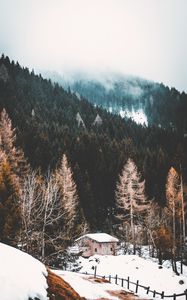 Превью обои лес, туман, дом, снег