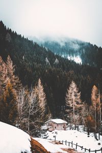 Превью обои лес, туман, дом, снег