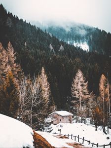 Превью обои лес, туман, дом, снег