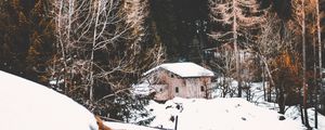 Превью обои лес, туман, дом, снег