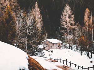 Превью обои лес, туман, дом, снег