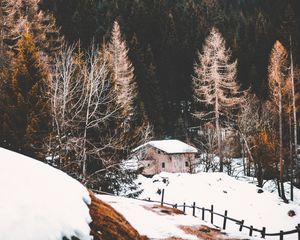 Превью обои лес, туман, дом, снег
