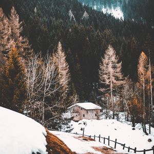 Превью обои лес, туман, дом, снег