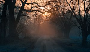 Превью обои лес, туман, дорога, деревья, закат