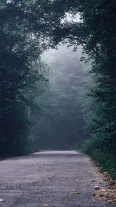 Превью обои лес, туман, дорога, поворот, деревья