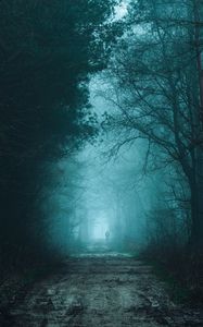 Превью обои лес, туман, дорога, силуэт, мрак