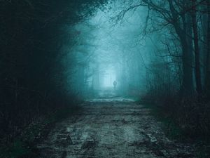 Превью обои лес, туман, дорога, силуэт, мрак