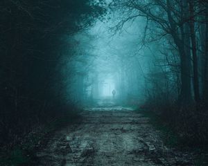 Превью обои лес, туман, дорога, силуэт, мрак
