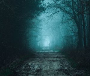 Превью обои лес, туман, дорога, силуэт, мрак