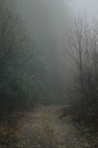 Превью обои лес, туман, дорога, поворот, природа