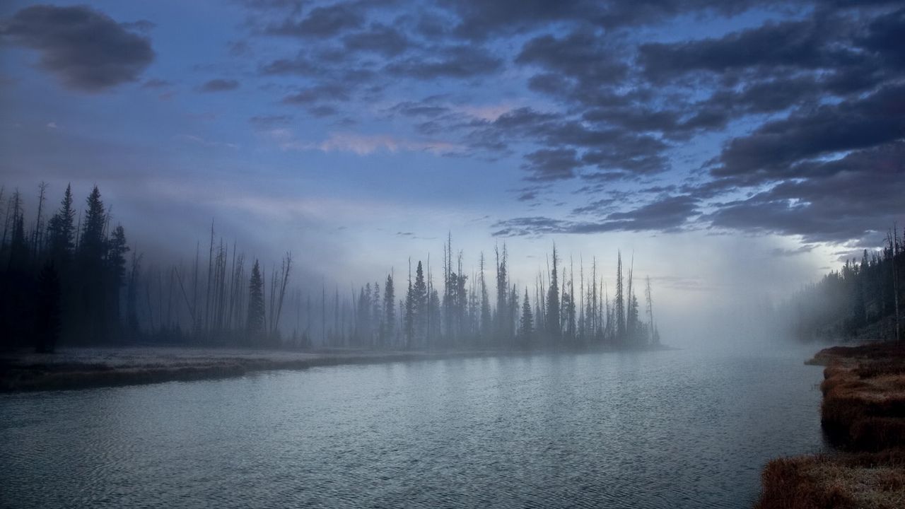 Обои лес, туман, дымка, озеро, облака