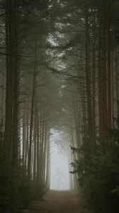 Превью обои лес, туман, монстр, силуэт