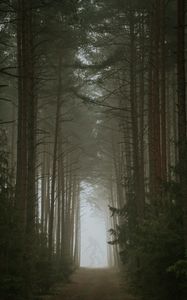 Превью обои лес, туман, монстр, силуэт