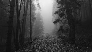 Превью обои лес, туман, осень, мрак, черно-белый