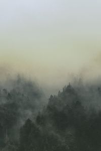 Превью обои лес, туман, пейзаж, деревья, природа