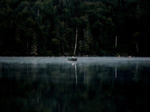 Превью обои лес, туман, река, лодка