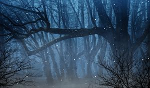 Превью обои лес, туман, светлячки, ветки