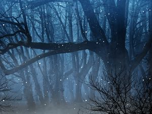 Превью обои лес, туман, светлячки, ветки