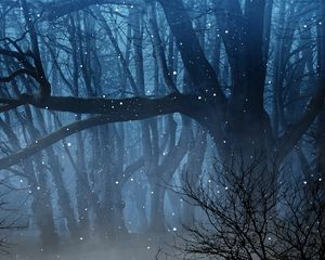Превью обои лес, туман, светлячки, ветки
