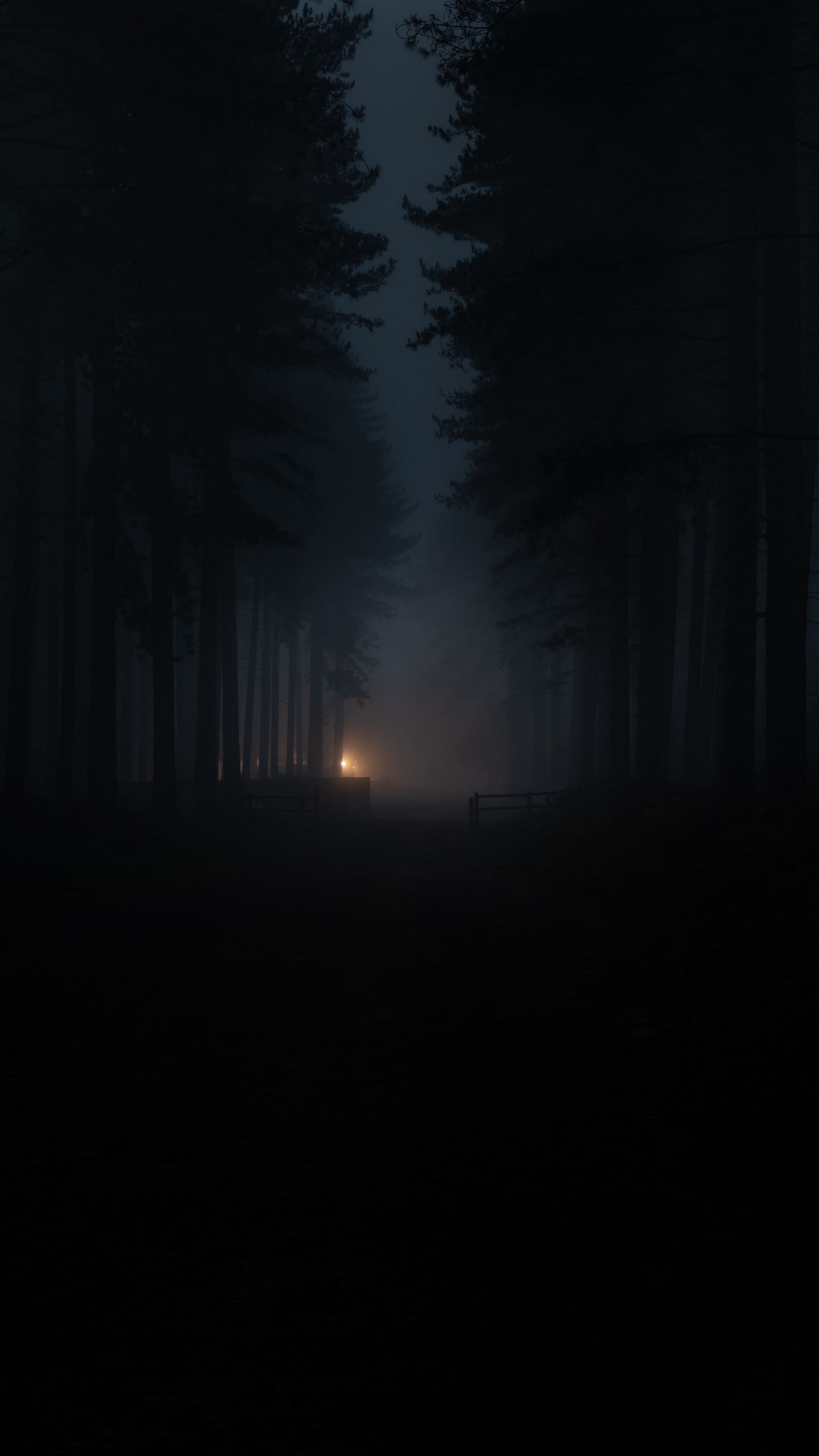фанфик желтые глаза в темноте леса премьер фото 77