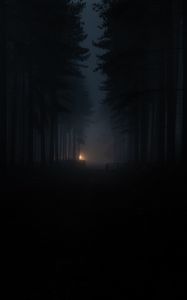 Превью обои лес, туман, темнота, мрак