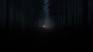 Превью обои лес, туман, темнота, мрак