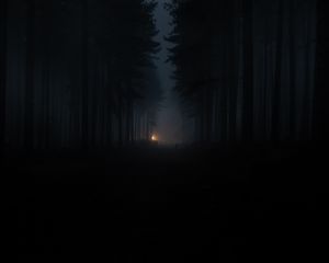 Превью обои лес, туман, темнота, мрак