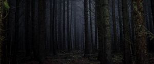 Превью обои лес, туман, темный, деревья, мрачный