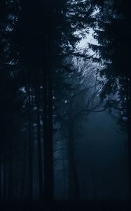 Превью обои лес, туман, темный, деревья, мрак