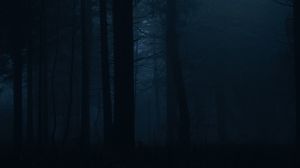 Превью обои лес, туман, темный, деревья, мрак