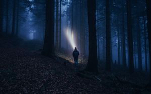 Превью обои лес, туман, темный, человек, фонарик