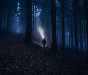 Превью обои лес, туман, темный, человек, фонарик