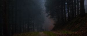 Превью обои лес, туман, трава, темный, природа