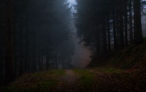 Превью обои лес, туман, трава, темный, природа