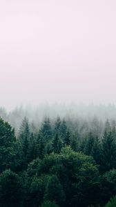 Превью обои лес, туман, вид сверху, деревья, небо
