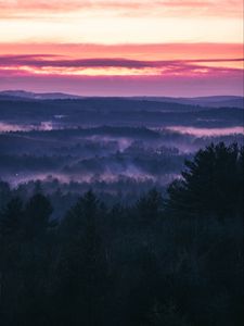 Превью обои лес, туман, закат, деревья, небо, вечер