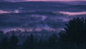 Превью обои лес, туман, закат, деревья, небо, вечер