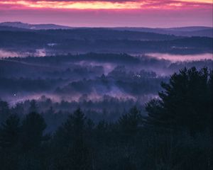 Превью обои лес, туман, закат, деревья, небо, вечер