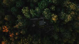 Превью обои лес, вид сверху, деревья, зеленый, осень