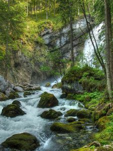 Превью обои лес, водопад, река, камни, пейзаж