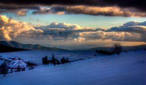 Превью обои лес, времена года, снимки, деревья