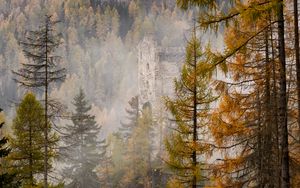 Превью обои лес, замок, туман, холм, осень