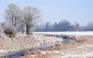 Превью обои лес, зима, деревья