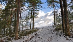 Превью обои лес, зима, деревья, подъем, небо, снег