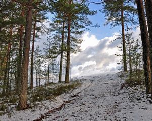 Превью обои лес, зима, деревья, подъем, небо, снег