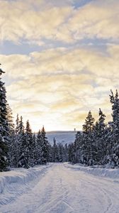 Превью обои лес, зима, дорога, ели, облака, природа