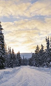Превью обои лес, зима, дорога, ели, облака, природа