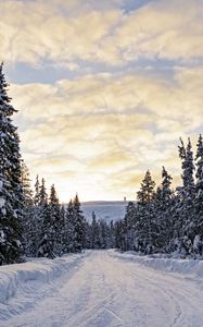 Превью обои лес, зима, дорога, ели, облака, природа