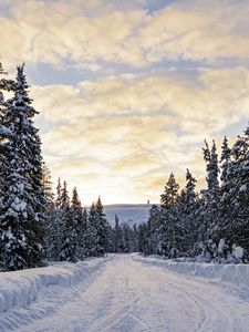 Превью обои лес, зима, дорога, ели, облака, природа