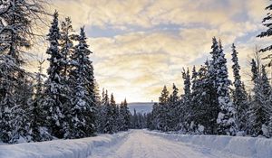 Превью обои лес, зима, дорога, ели, облака, природа